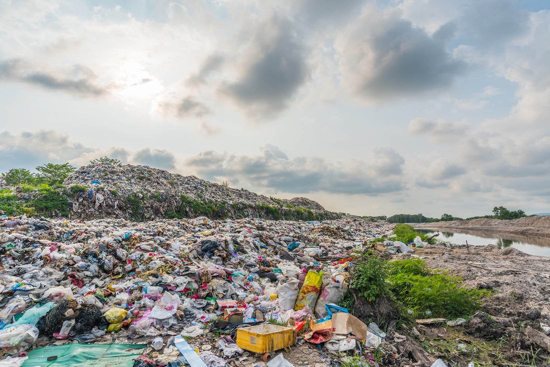 มีพลาสติกมหาสมุทรเท่าไหร่?