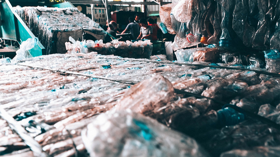 Is Your Company Ready To Take Action Against Plastic Pollution?