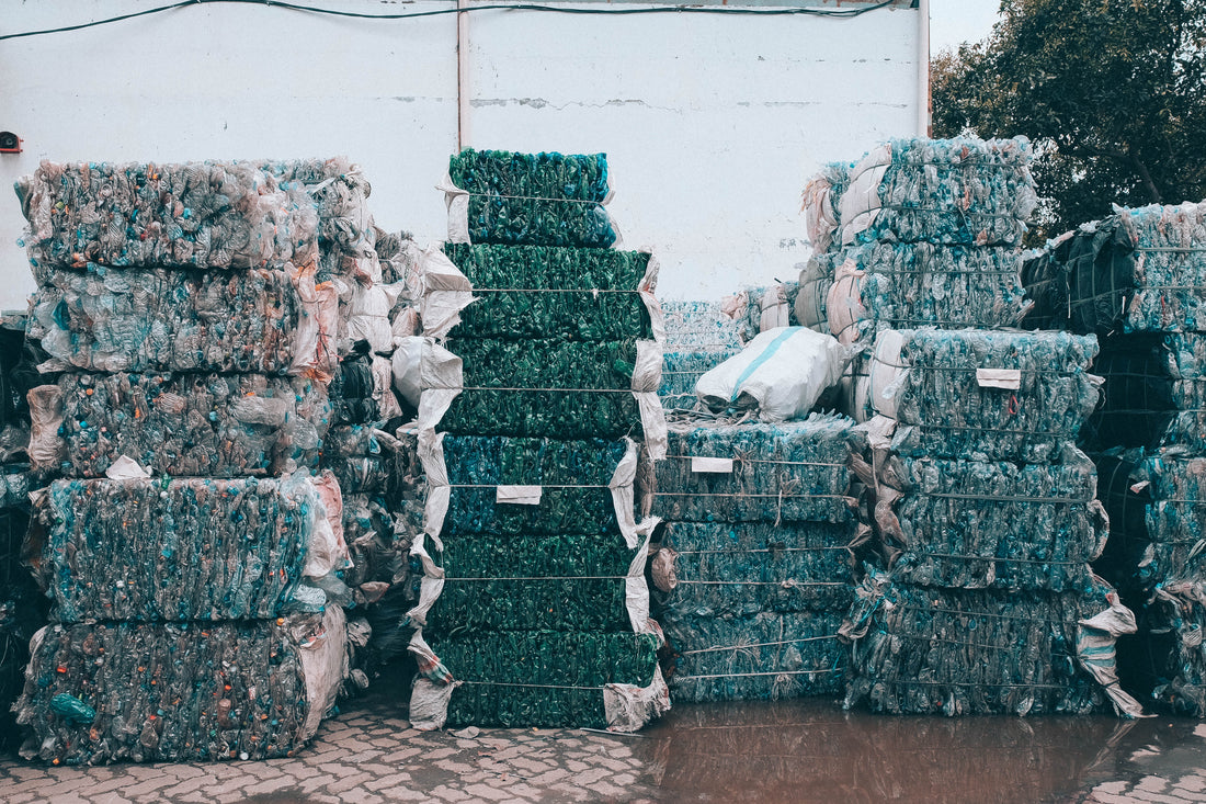 พลาสติกในมหาสมุทรปลอดภัยหรือไม่?