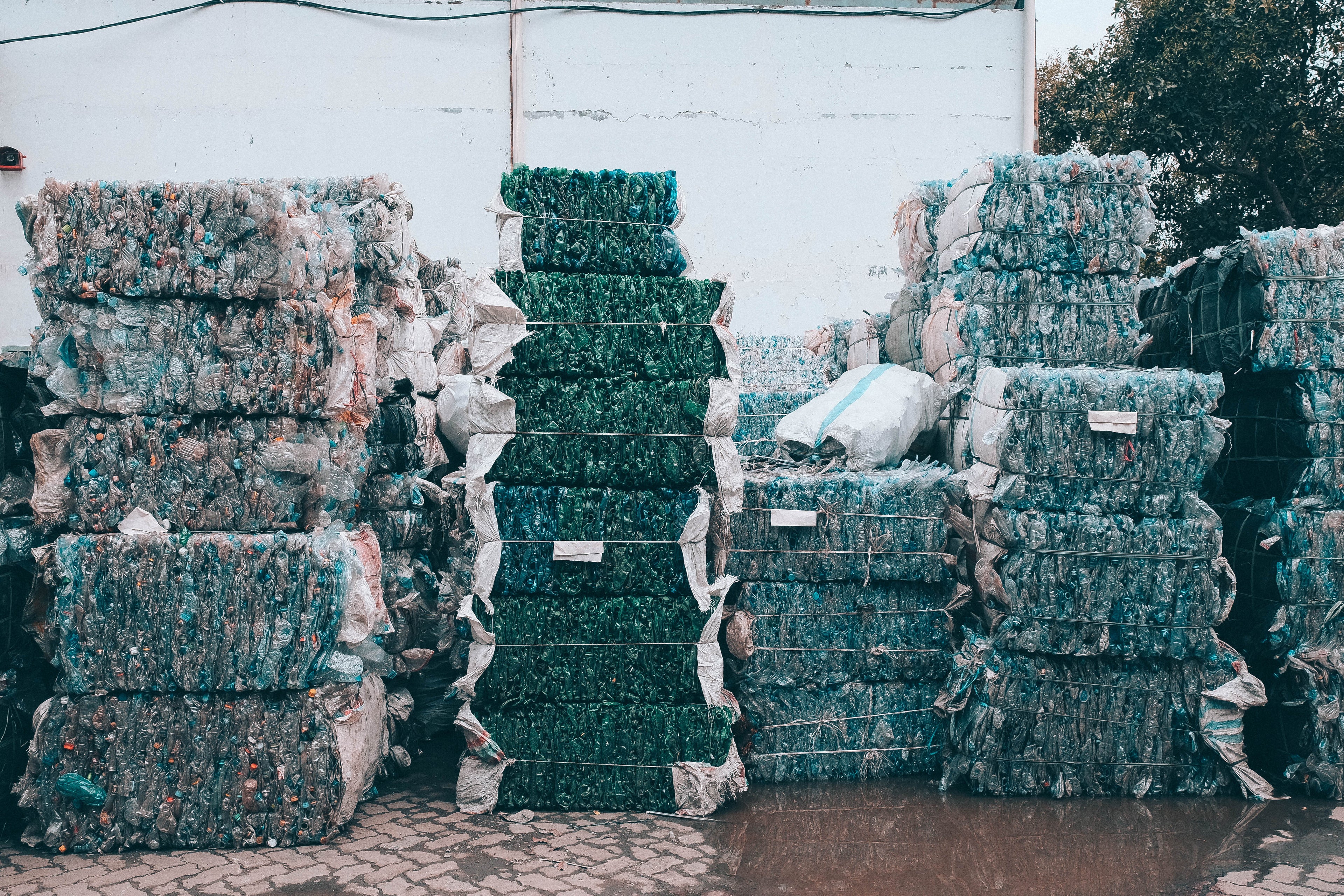 พลาสติกในมหาสมุทรปลอดภัยหรือไม่?