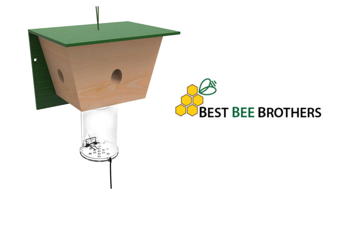 ทําให้ The Oceanworks Switch นําเสนอ Best Bee Brothers