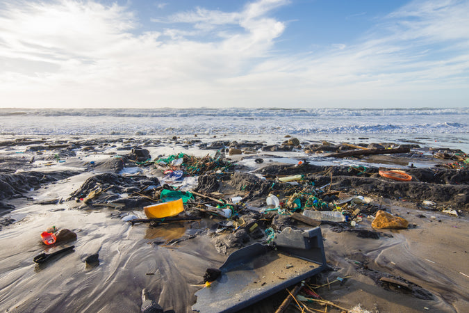 Where does ocean plastic come from?