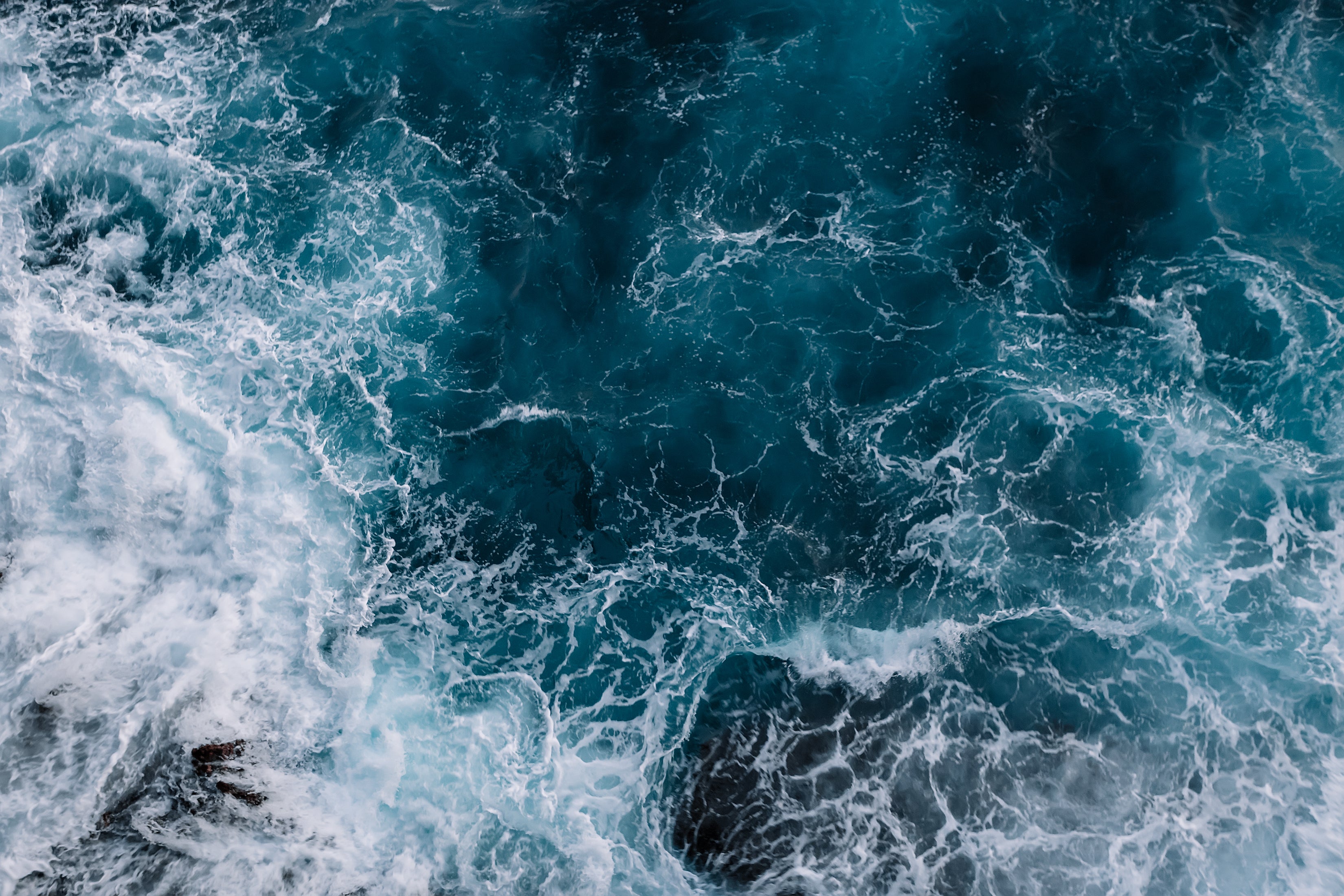Oceanworks Team Spotlight: Founder and President Rob Ianelli