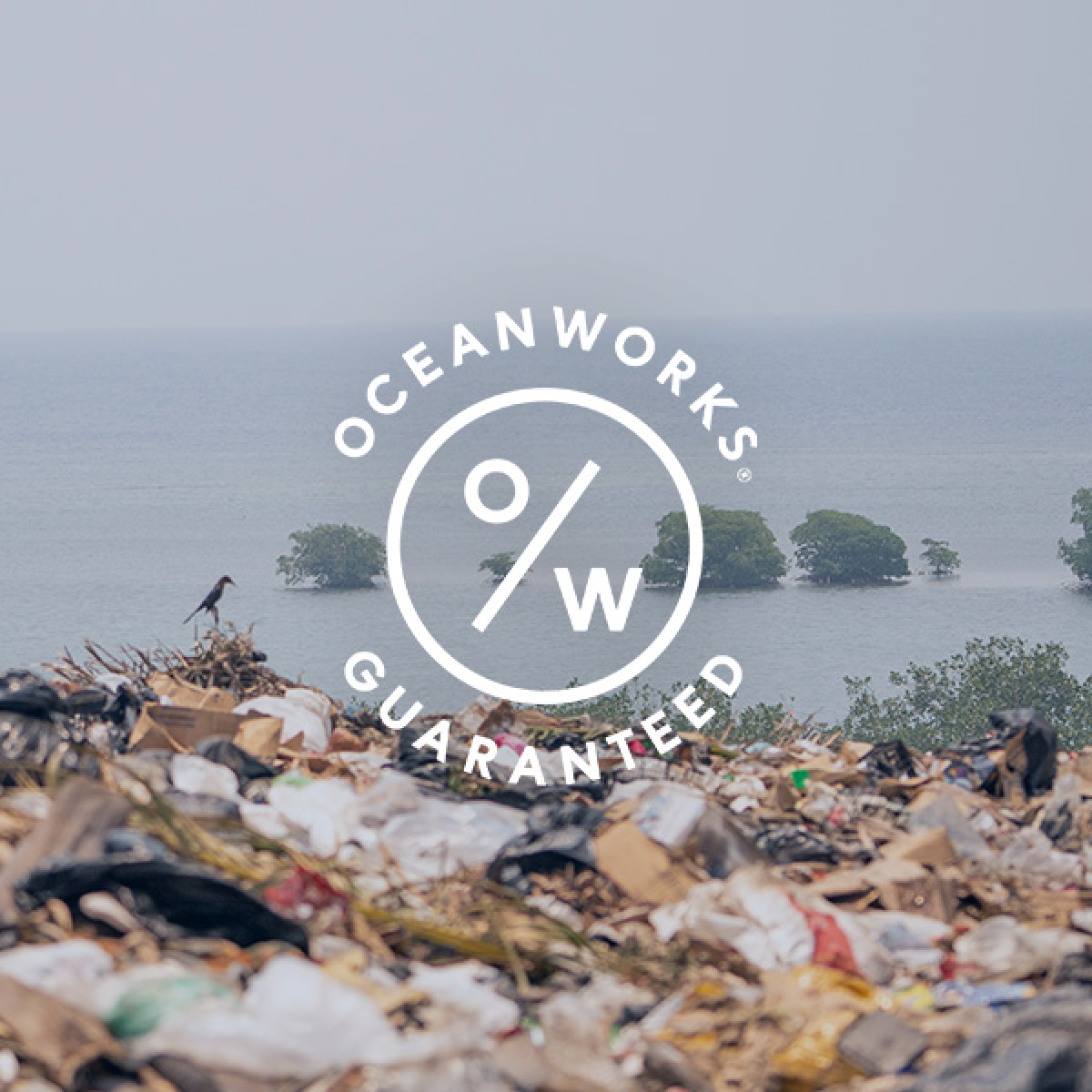 Introducing Ocean Plastic Buttons — Oceanworks