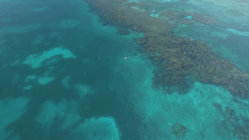 About Us | Oceanworks